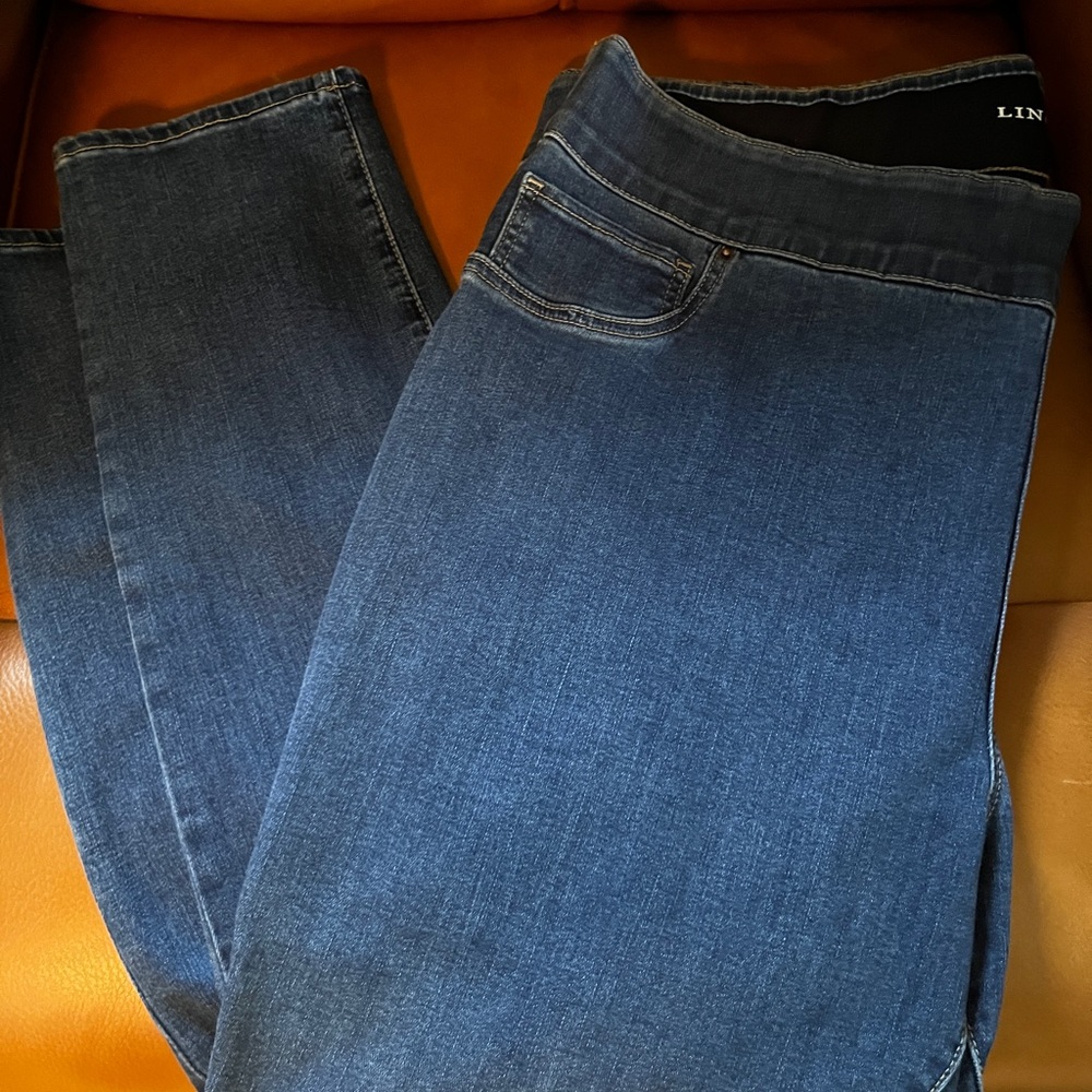 Lincoln Outfitters Women’s 22W(38”W x 48”H x 27”L)Slim-Fit Indigo Skinny Jeans